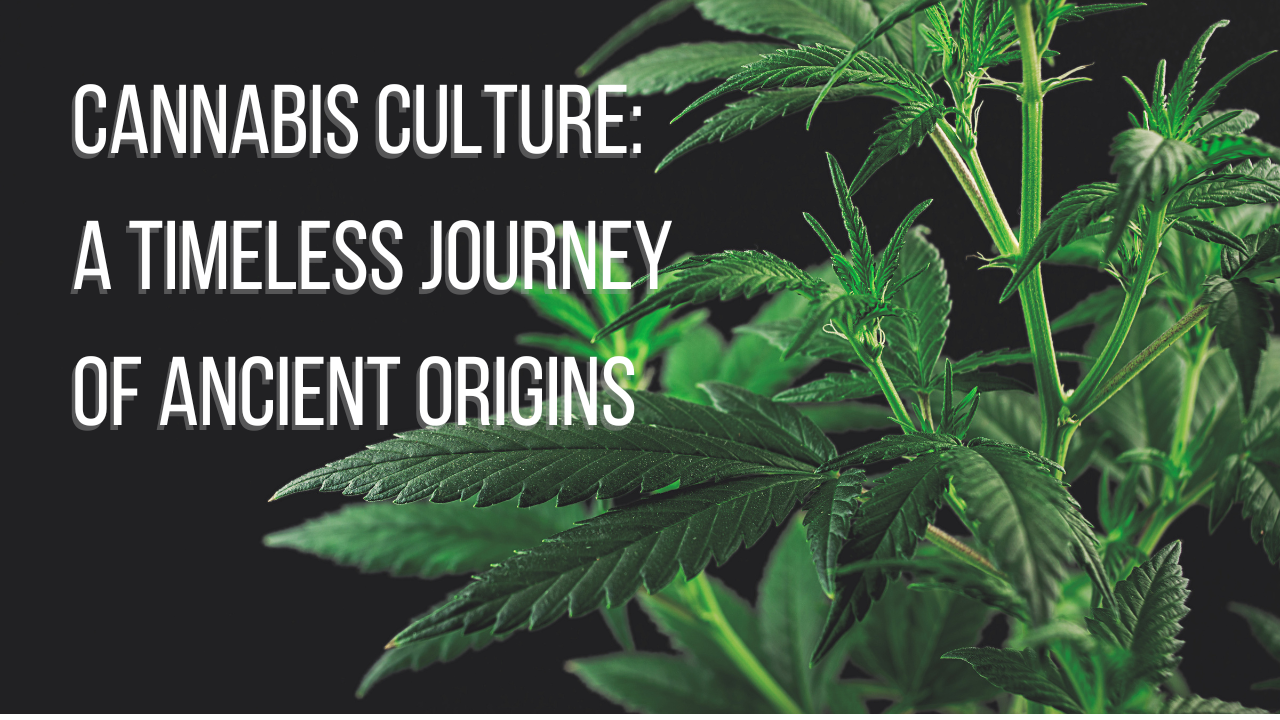 Cannabis Culture: A Timeless Journey of Ancient Origins