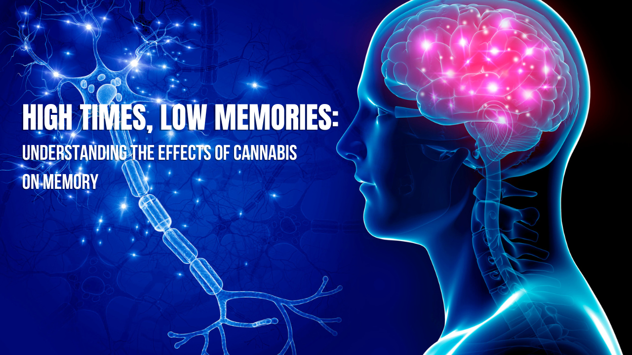 Understanding the Effects of Cannabis on Memory