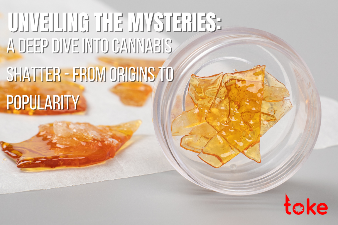 Cannabis Shatter Deep Dive: Unveiling the Mysteries Fraser Valley Buds FV Buds